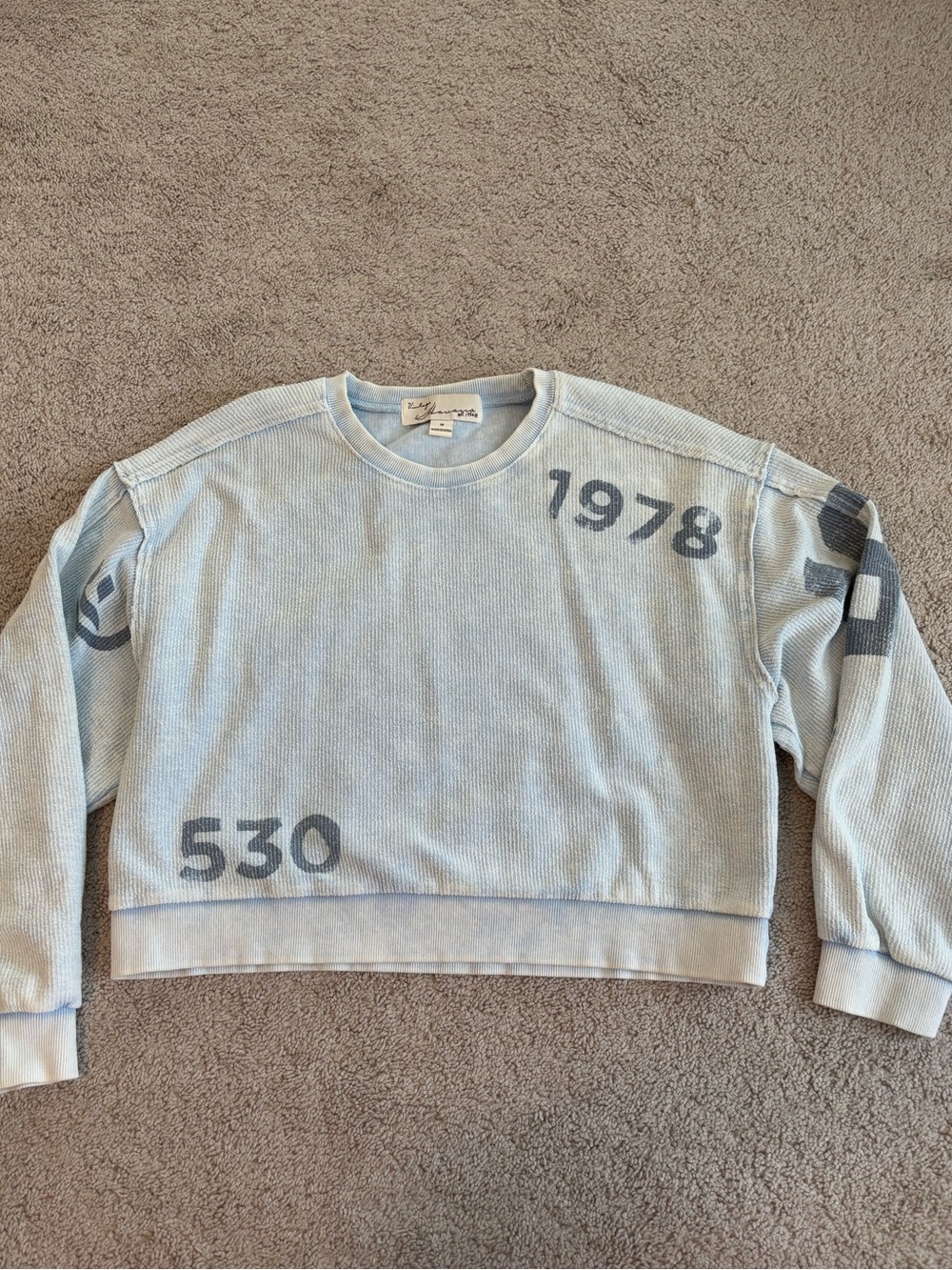 Vintage Havana Pale Blue Crewneck Sweater, Navy Graphic Details, Women’s Medium